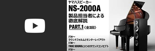 NS-2000Aウェビナー
