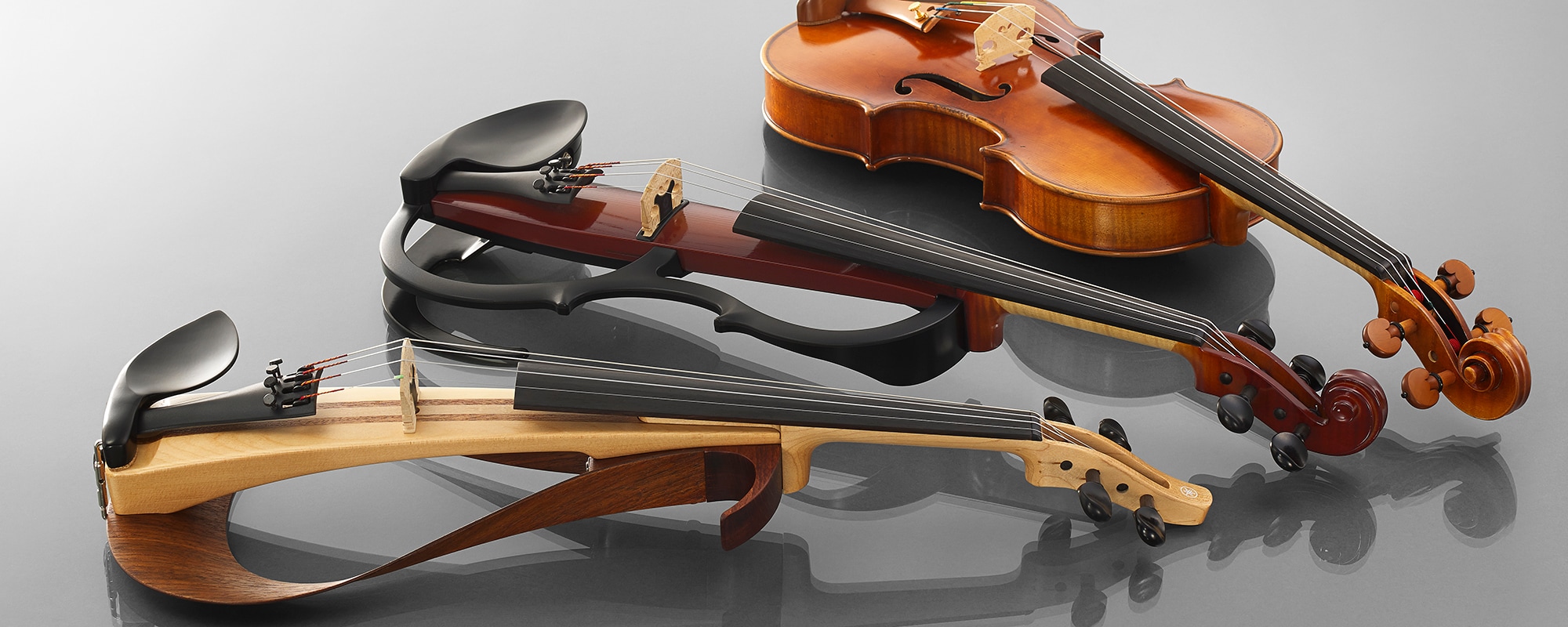 バイオリン 楽器 弦楽器 - 弦楽器