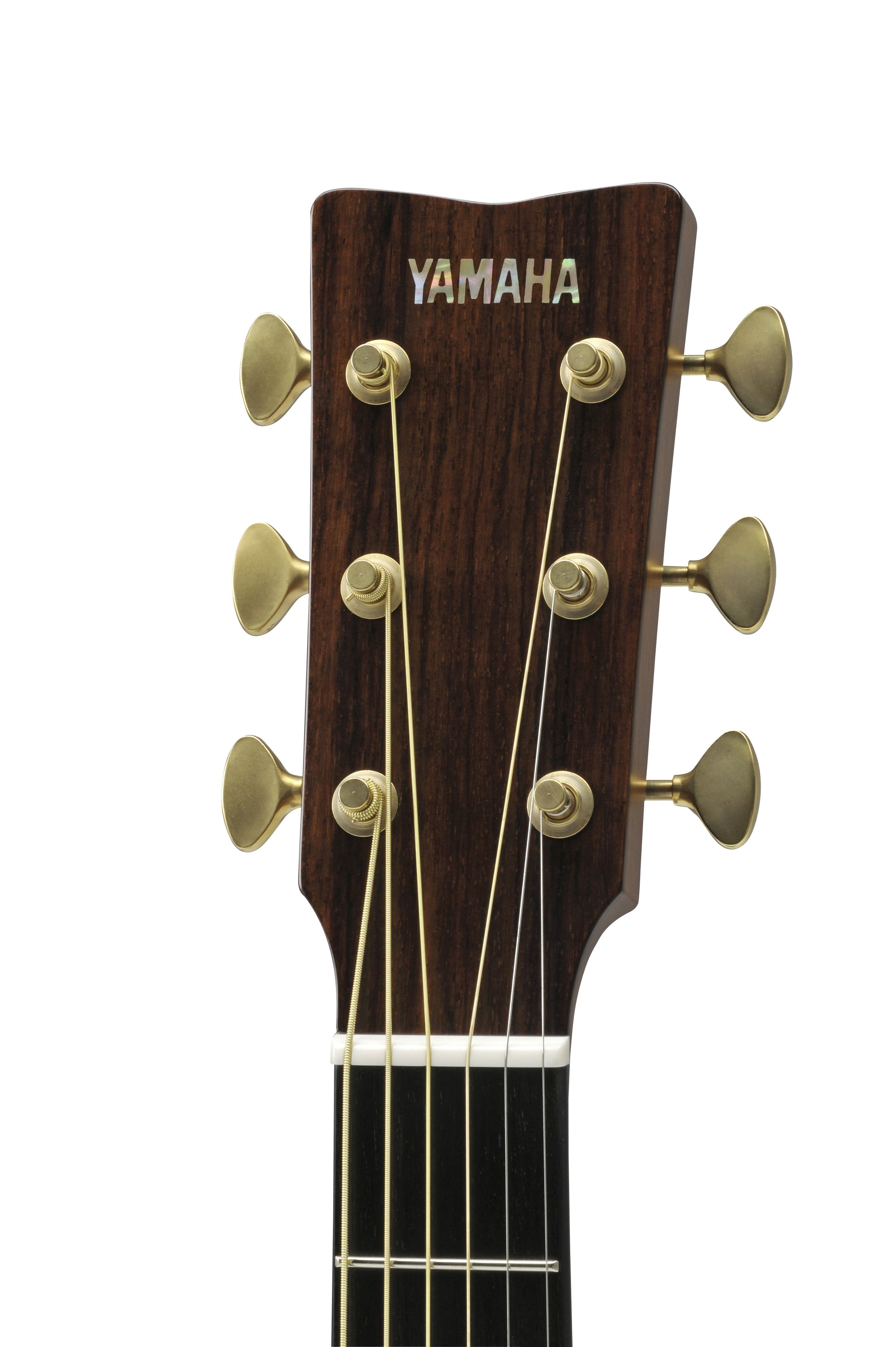 ヤマハ | Lシリーズ - アコースティックギター - LS Series