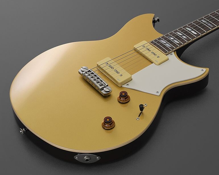Signature Revstar RS02CBのボディにフォーカスした画像