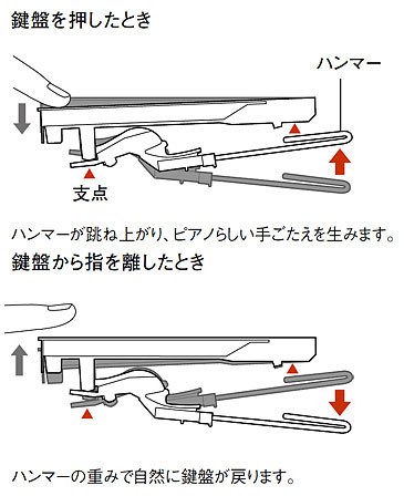 ヤマハ | CLP-440 - Clavinova（クラビノーバ） - 特長