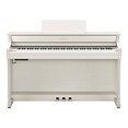 CLP-836 ホワイトバーチ調