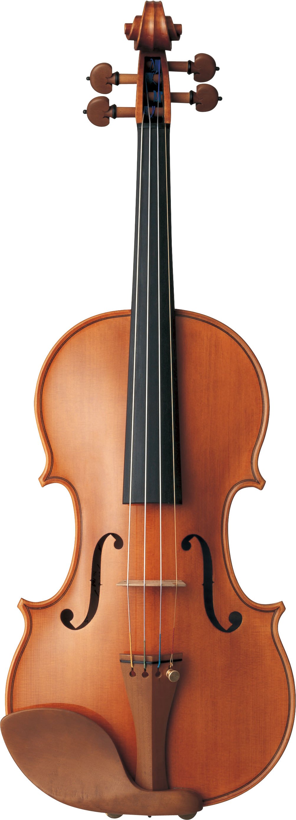 バイオリン | 伊藤楽器