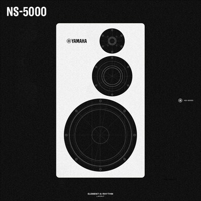 NS-5000