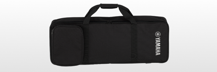 Header Banner - Winds - Cases