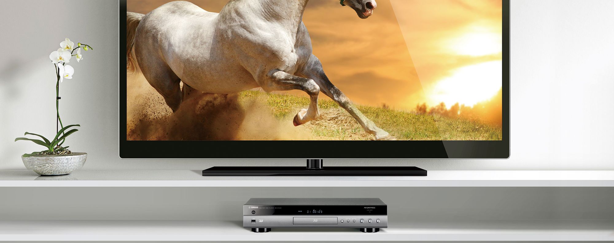ヤマハ | ブルーレイディスクプレーヤー - ホームシアター・オーディオ