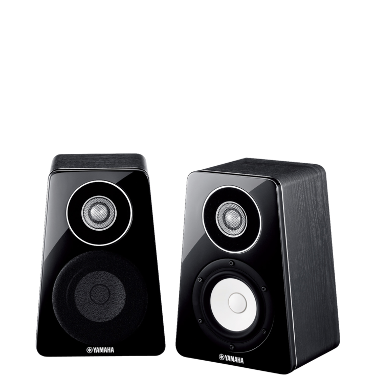 NS-B500製品画像_ペア