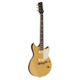 RS02CB Honey Gold Left Front