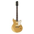 RS02CB Honey Gold Straight Front