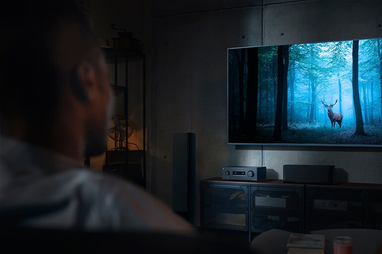 男性がRX500Aをつかってテレビ画面を見ている部屋の画像