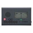 TDM-600