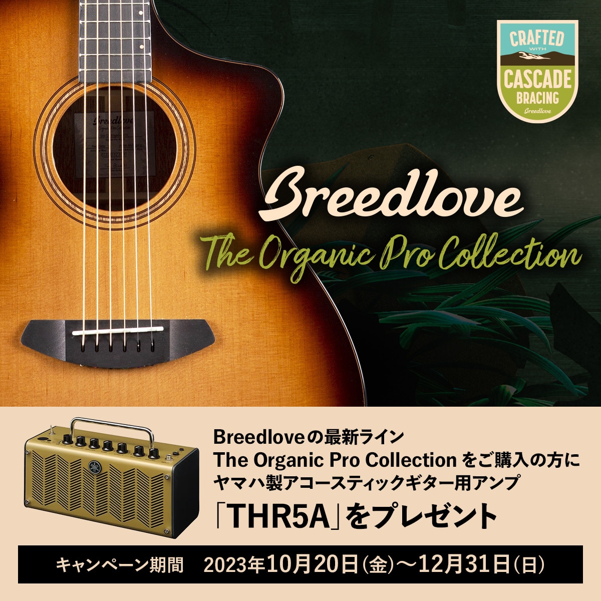 ヤマハ | The Organic Pro Collection購入者対象 アコースティック