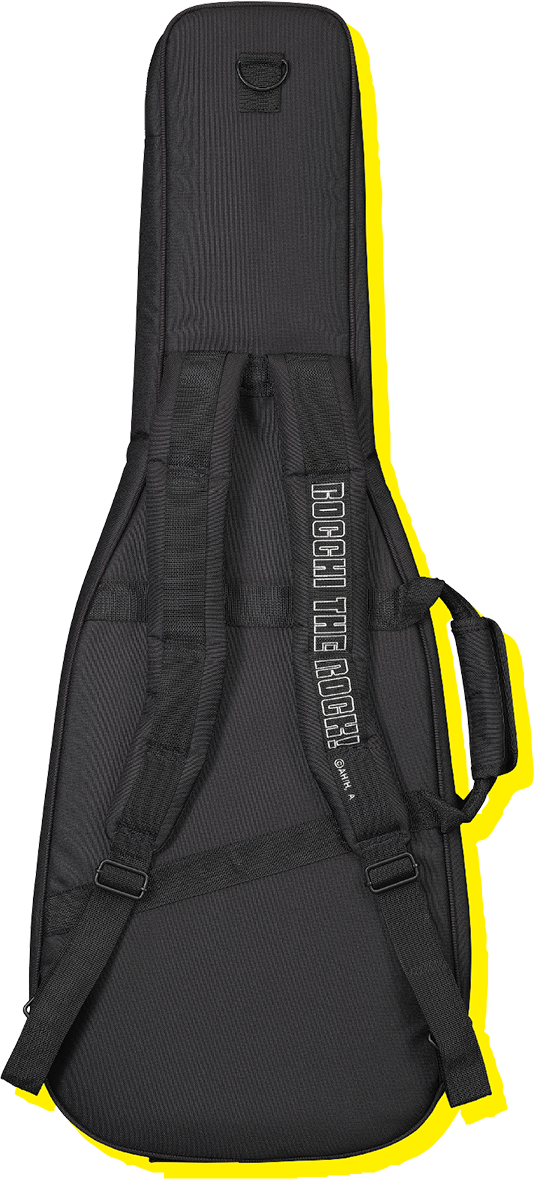 特注ギグバッグ写真