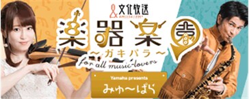 楽器楽園～ガキパラ～