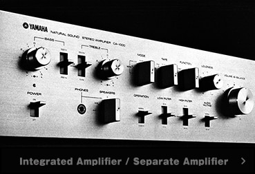 Integrated Amplifier