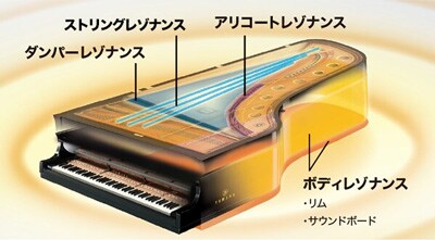 バーチャル・レゾナンス・モデリング（VRM）