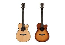 YAMAHA✩L12-6✩ギター✩12弦✩10月までの限定出品✩ケースは付きます YAMAHA（ヤマハ） YAMAHA / LLD アコギ用ハードケース FG LL LJ 12弦