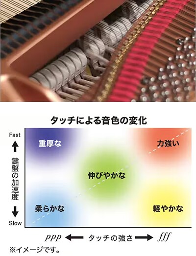 GRAND EXPRESSION MODELING